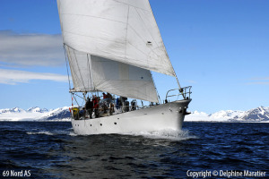 gallery_3